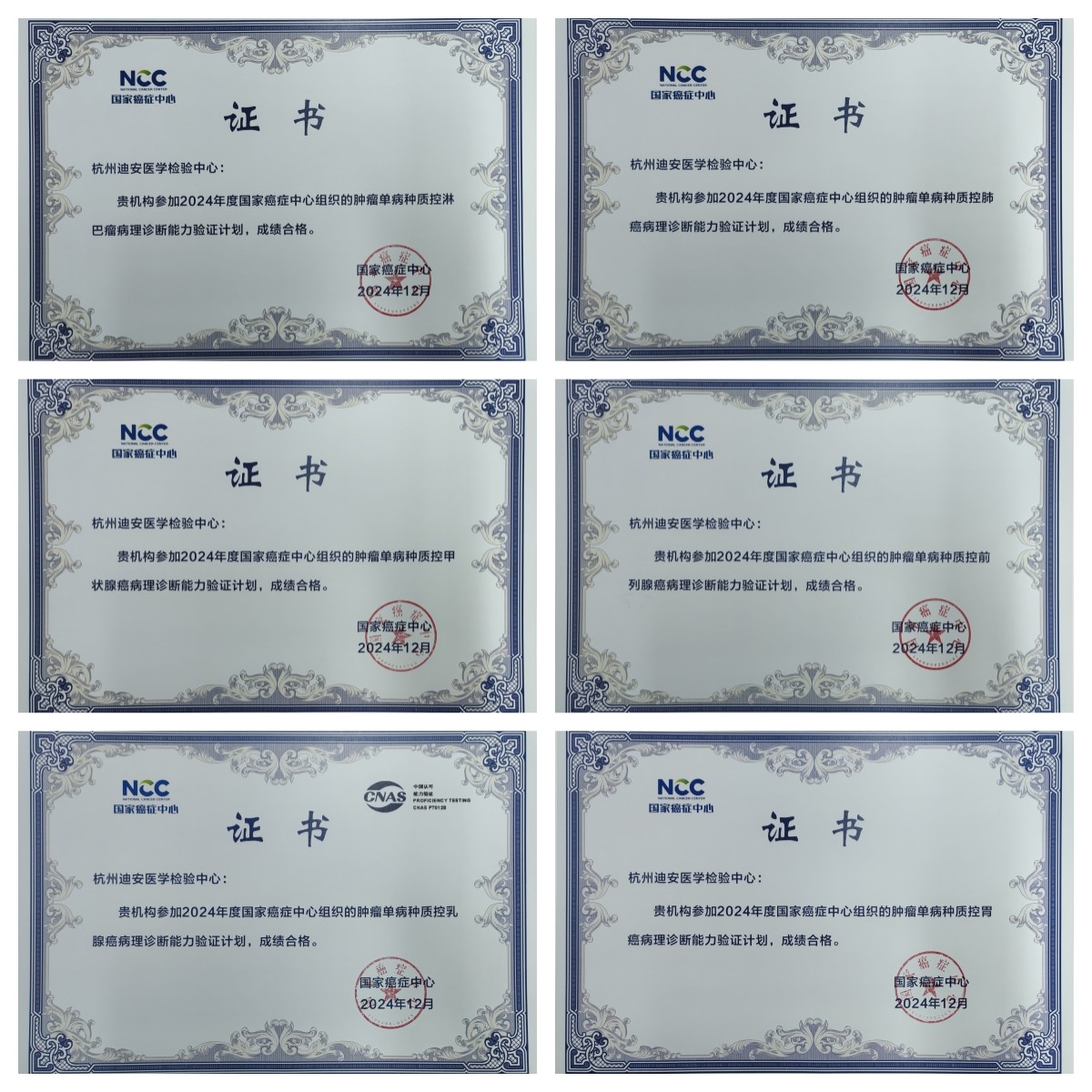 證書拼圖.jpg