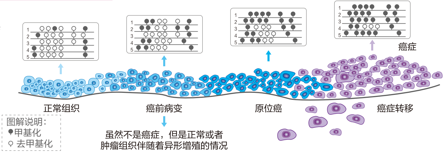 微信圖片_20250121150142.png
