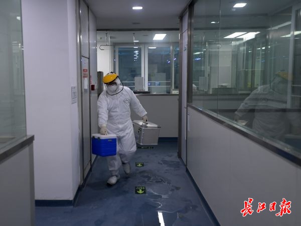 工作人員在運(yùn)送裝樣本的專用箱。.jpeg